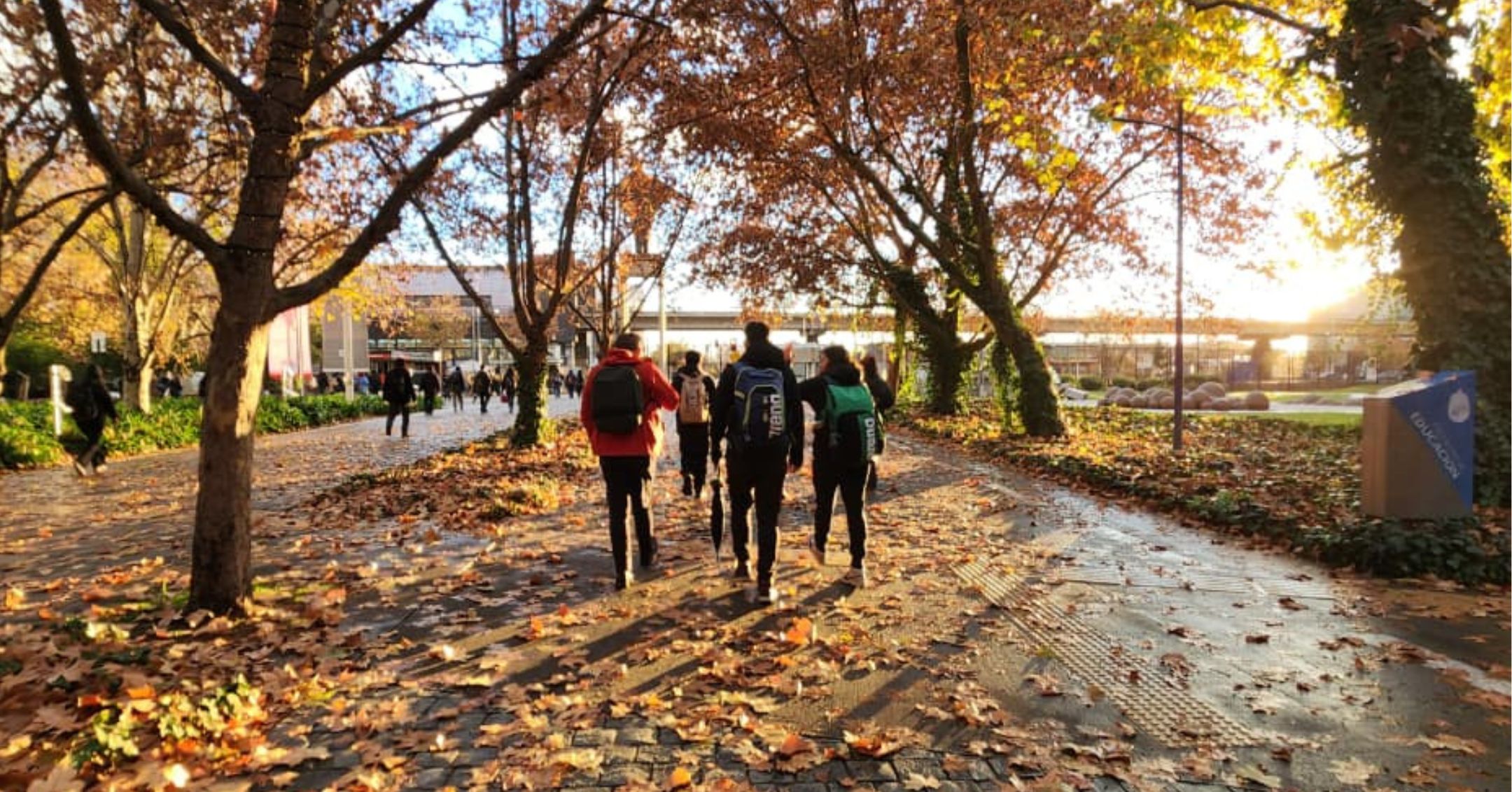 Movilidad estudiantil: Potenciando una experiencia universitaria integral y global