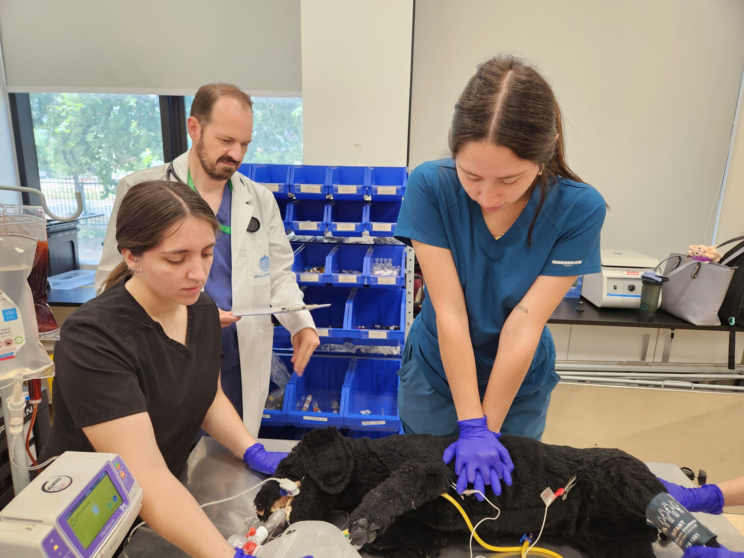 Respetando la vida: Simulación clínica en formación de medicina veterinaria