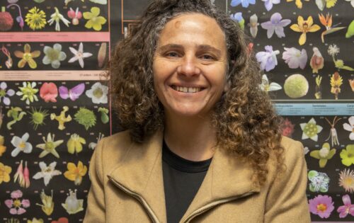 Fernanda Pérez T.