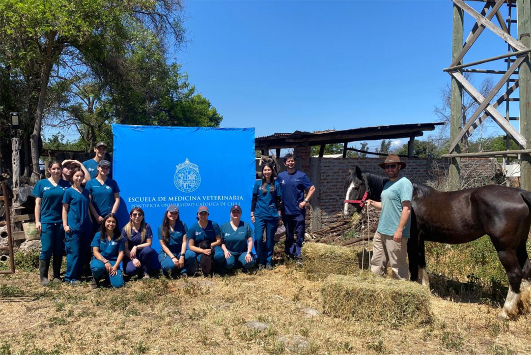 Equipo de la Escuela Medicina Veterinaria UC en operativo equino a terreno junto a un caballo.